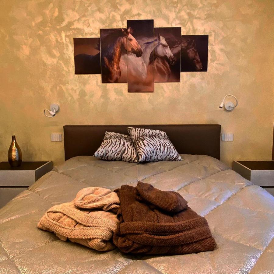 Nuova Residenza Porta Nuova Winehorse 维罗纳 外观 照片